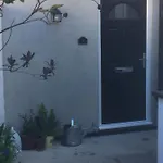 Belmont Gem