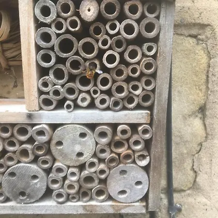 Сasa de vacaciones Belmont Gem *