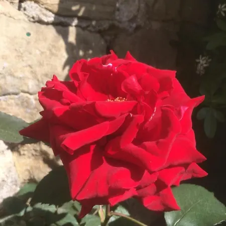 Сasa de vacaciones Belmont Gem Knaresborough