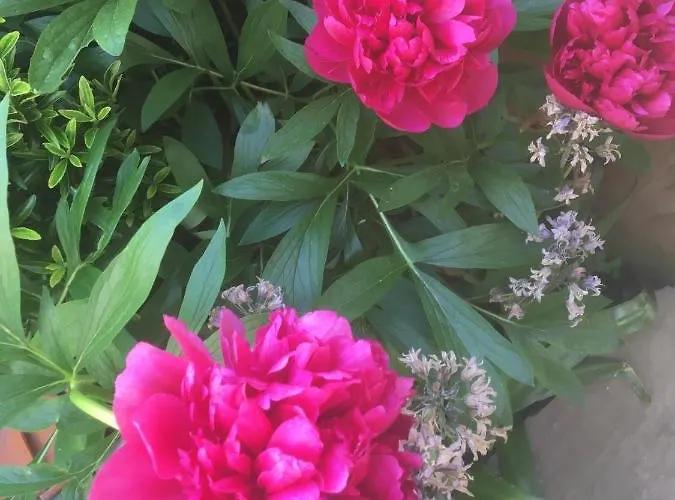 Belmont Gem Σπίτι διακοπών *