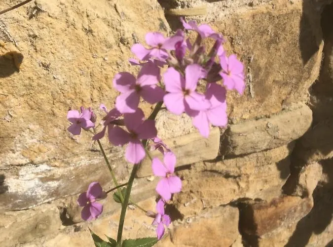 Σπίτι διακοπών Belmont Gem *