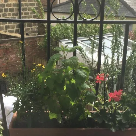 Belmont Gem ナレスボロ